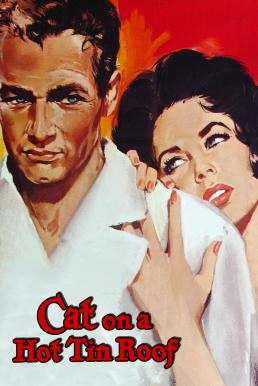 Cat on a Hot Tin Roof (1958) บรรยายไทย - ดูหนังออนไลน